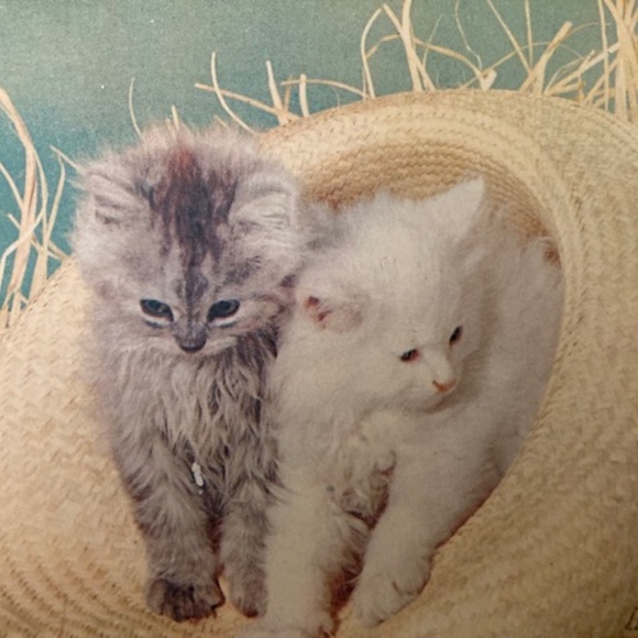 Floral Print Pullover Sweater 🆕 - Picture 7 of 7